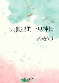 一只狐狸的一见钟情