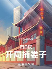 四合院:开局捅娄子